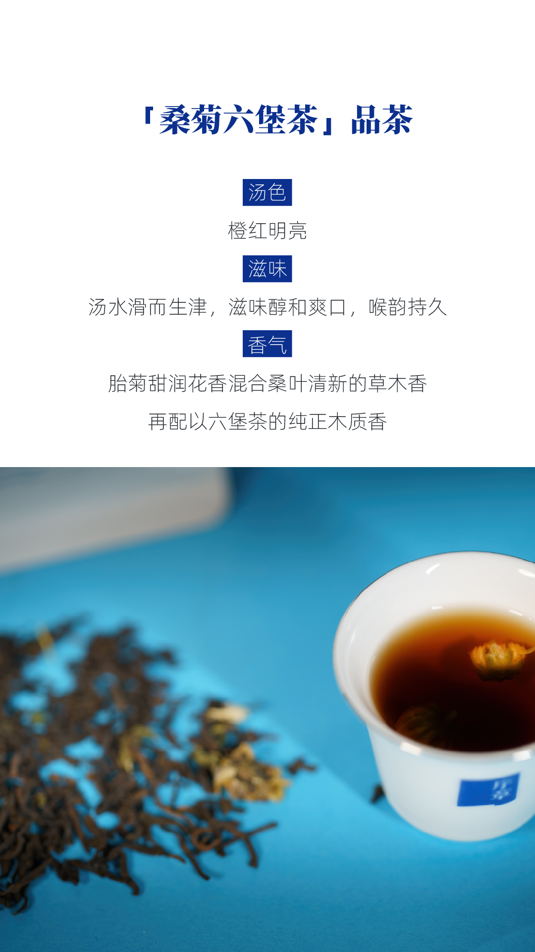 桑菊六堡 闷杯伴侣（品茶错误）_画板 1 副本 5.jpg